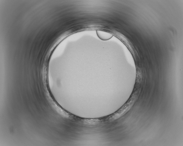 X0000110680859200907241042
