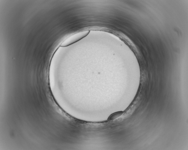 X0000110680860200907241042