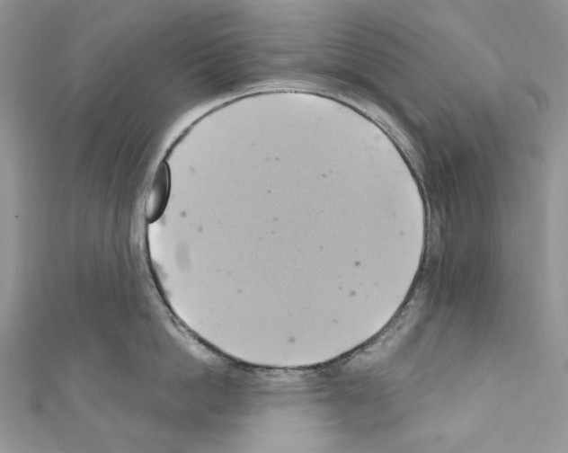 X0000110680862200907241042