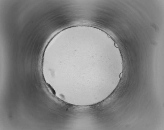X0000110680864200907241042