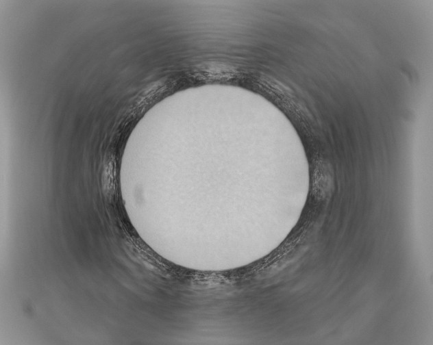 X0000110680866200907241041
