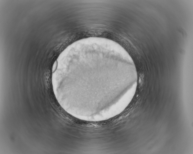 X0000110680867200907241041