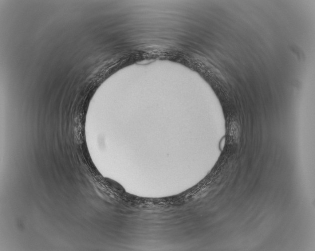 X0000110680868200907241041