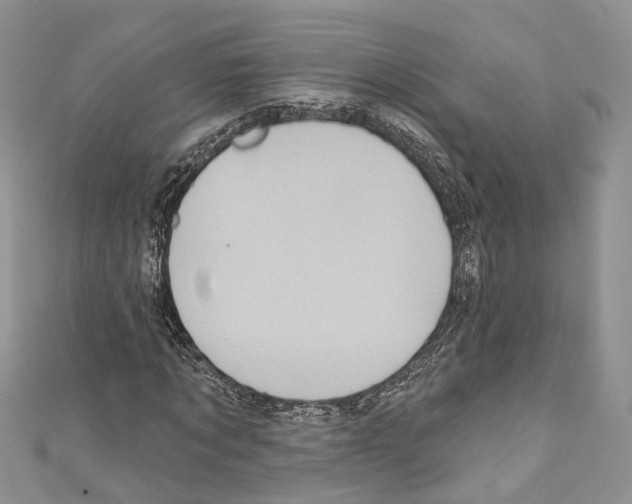X0000110680869200907241041
