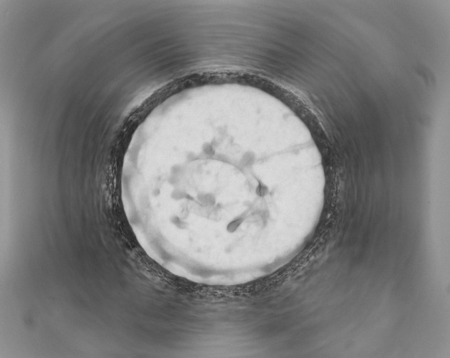 X0000110680871200907241041