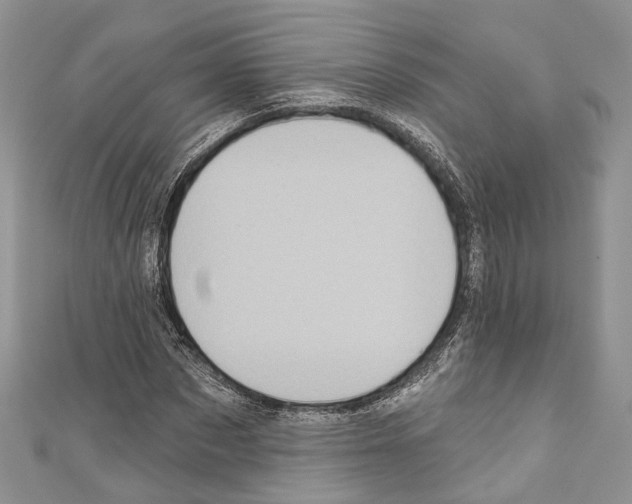 X0000110680873200907241041