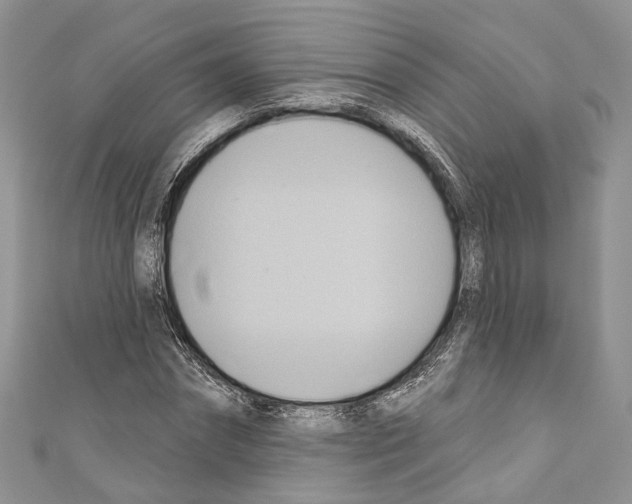 X0000110680874200907241041