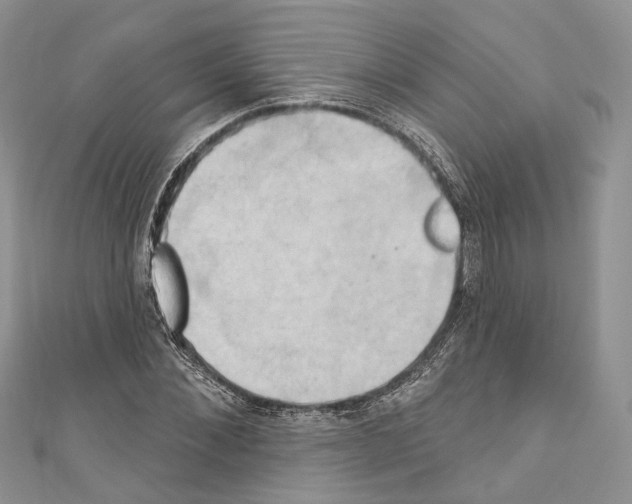 X0000110680876200907241041