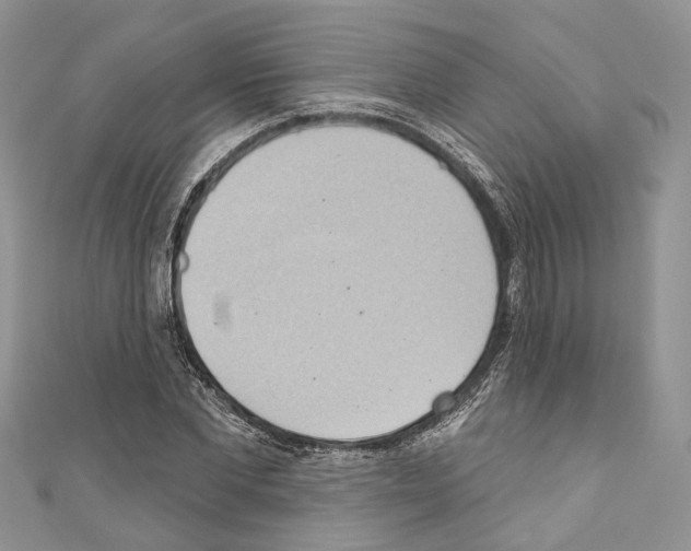 X0000110680877200907241041