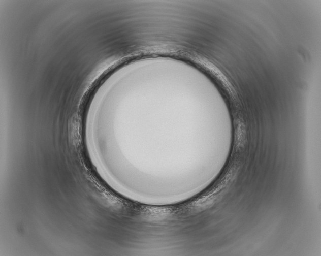 X0000110680878200907241041