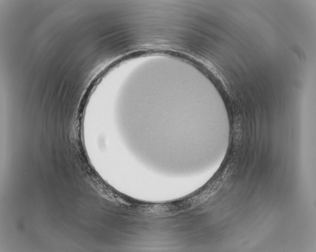 X0000110680879200907241041