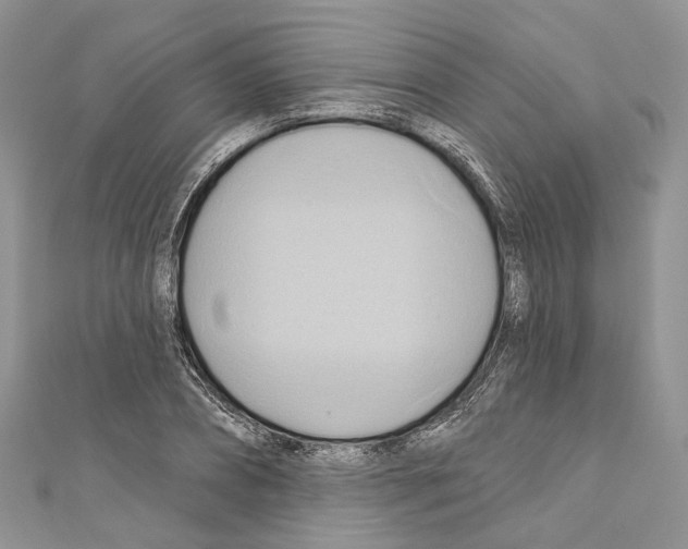X0000110680882200907241041