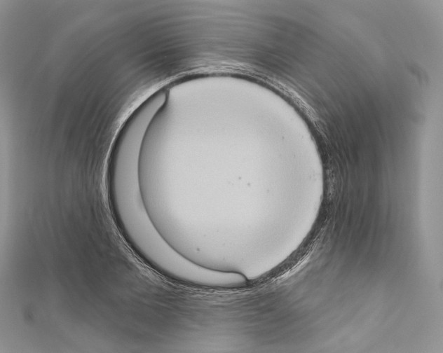 X0000110680885200907241041