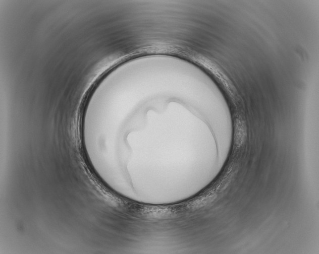 X0000110680886200907241041