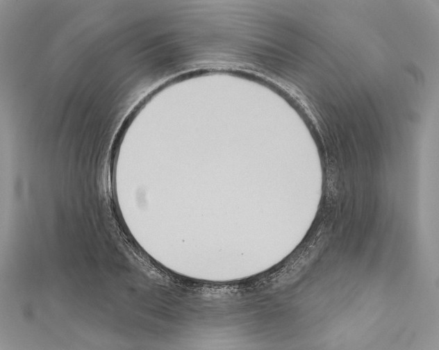 X0000110680887200907241041