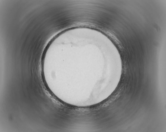 X0000110680888200907241041