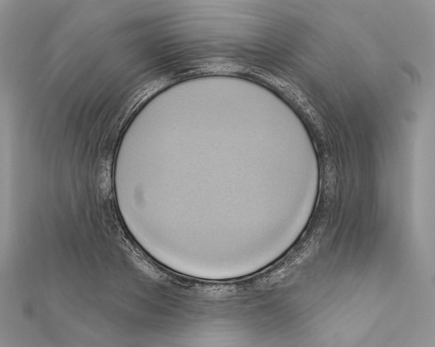 X0000110680889200907241041