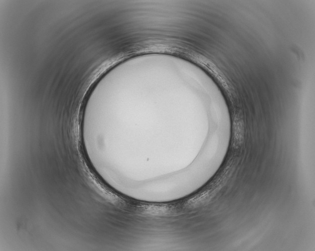 X0000110680890200907241041