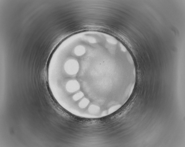X0000110680891200907241041