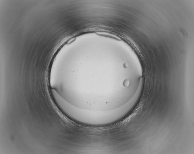 X0000110680893200907241041