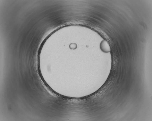 X0000110680894200907241041