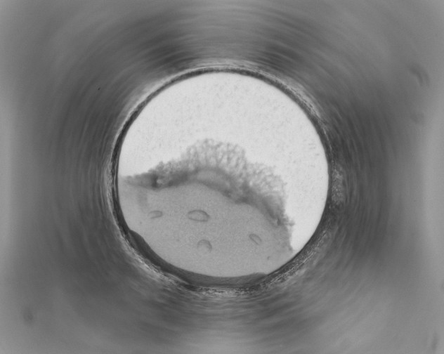 X0000110680895200907241041