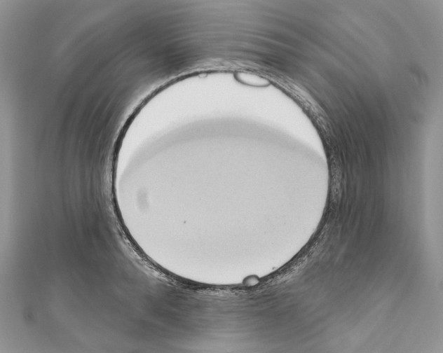 X0000110680896200907241041