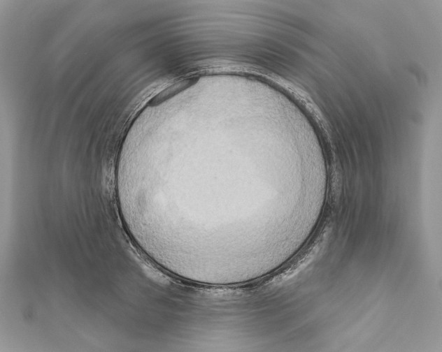 X0000110680897200907241041