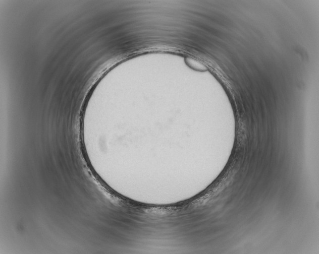 X0000110680898200907241041
