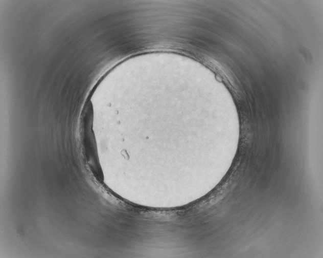 X0000110680900200907241041