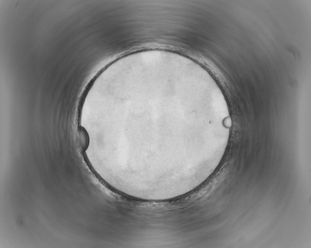 X0000110680902200907241041