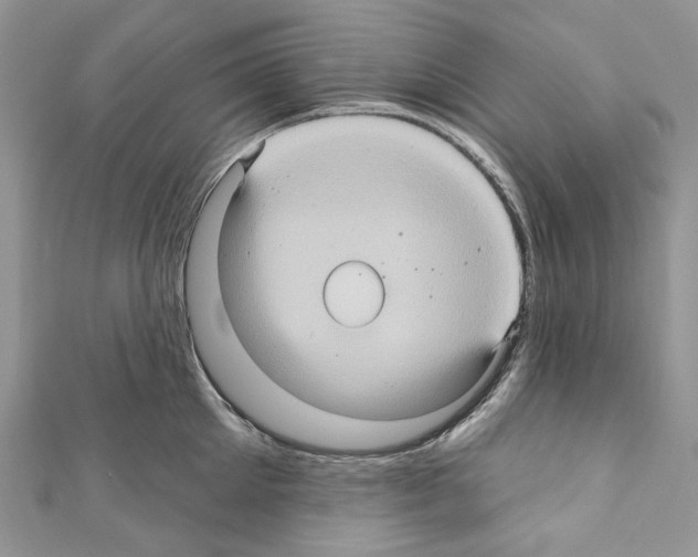 X0000110680905200907241041