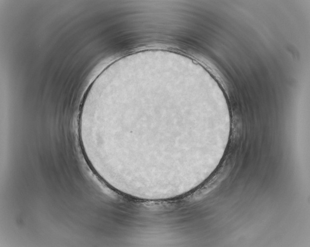 X0000110680906200907241041