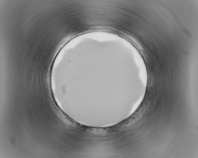 X0000110680907200907241041