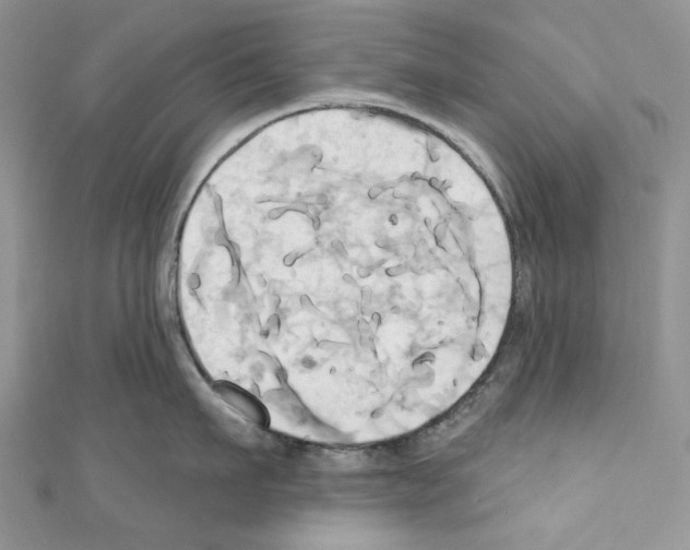 X0000110680911200907241041