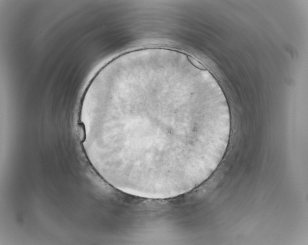 X0000110680912200907241041