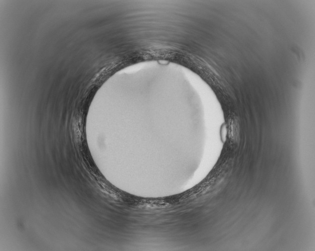 X0000110680915200907241040