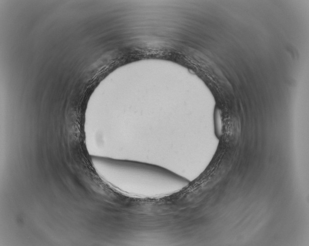 X0000110680916200907241040