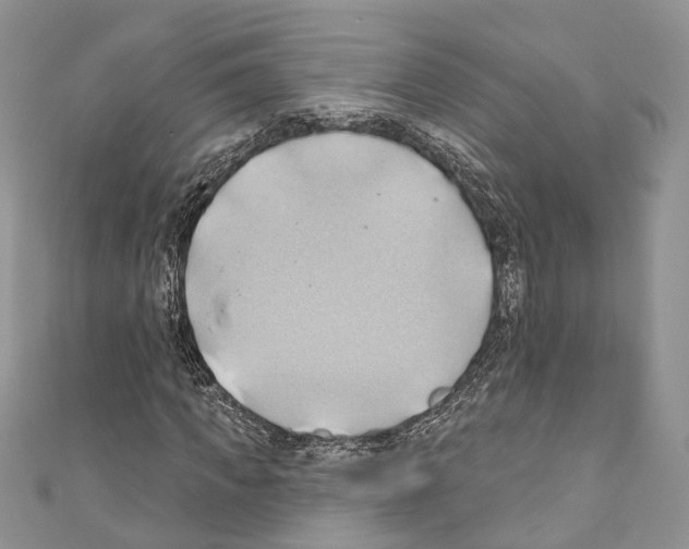 X0000110680917200907241040