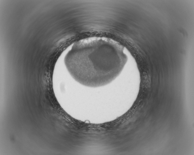X0000110680918200907241040