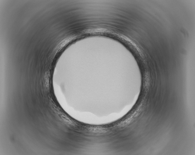 X0000110680921200907241040