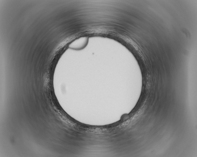 X0000110680922200907241040