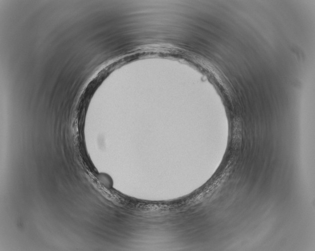 X0000110680923200907241040