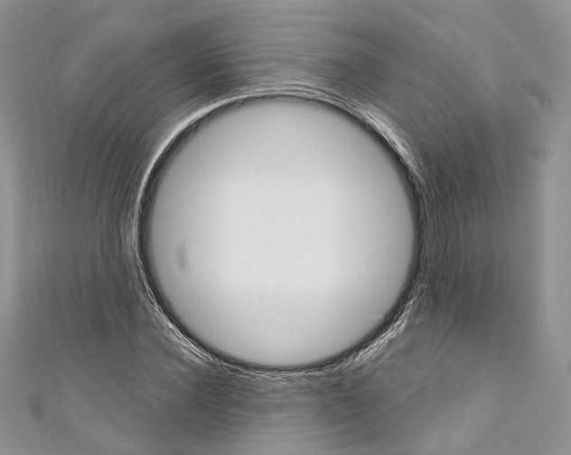 X0000110680924200907241040