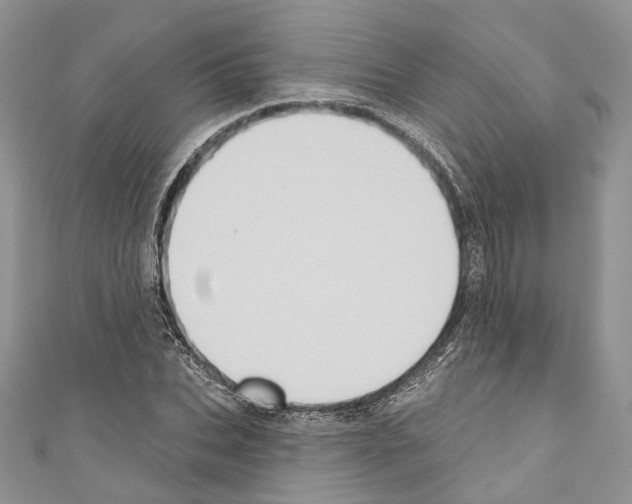 X0000110680927200907241040