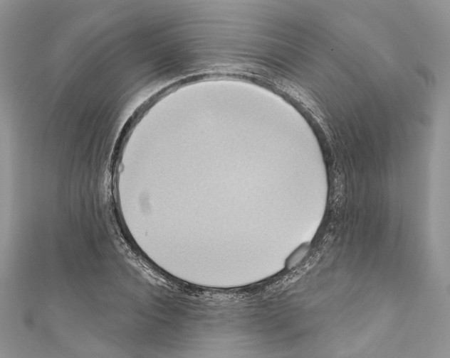 X0000110680928200907241040