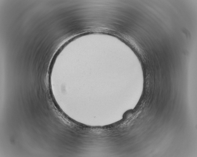 X0000110680932200907241040