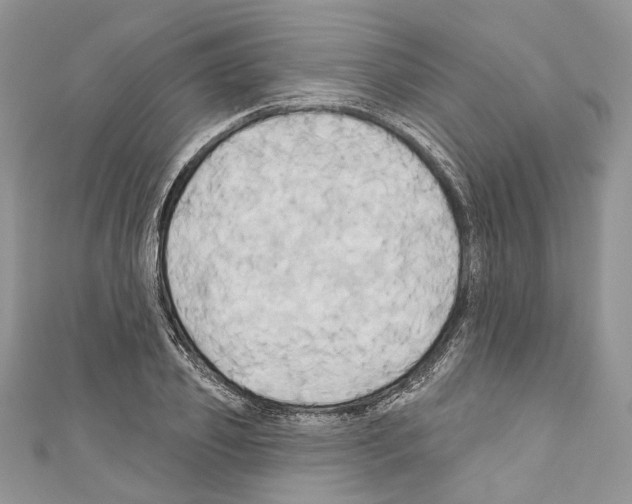 X0000110680933200907241040