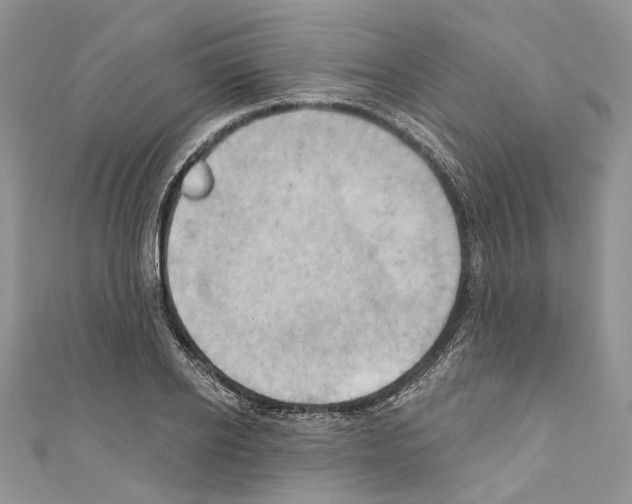 X0000110680934200907241040