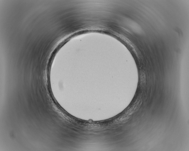 X0000110680935200907241040